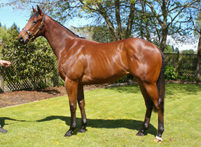LOt18 exceed HKIS